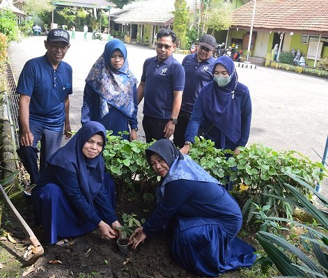 Peringati Hari Bumi 2025, MIN 15 HSU Tanam Pohon Matoa